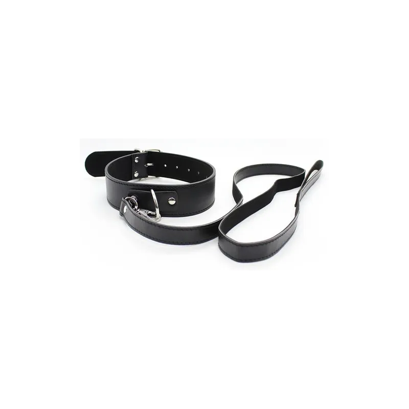 Generique Collier Laisse Premium